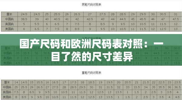 国产尺码和欧洲尺码表对照：一目了然的尺寸差异
