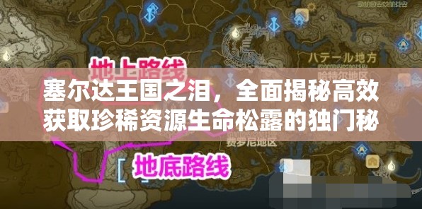 塞尔达王国之泪，全面揭秘高效获取珍稀资源生命松露的独门秘籍
