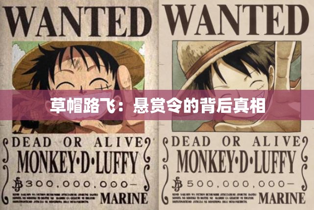 草帽路飞：悬赏令的背后真相