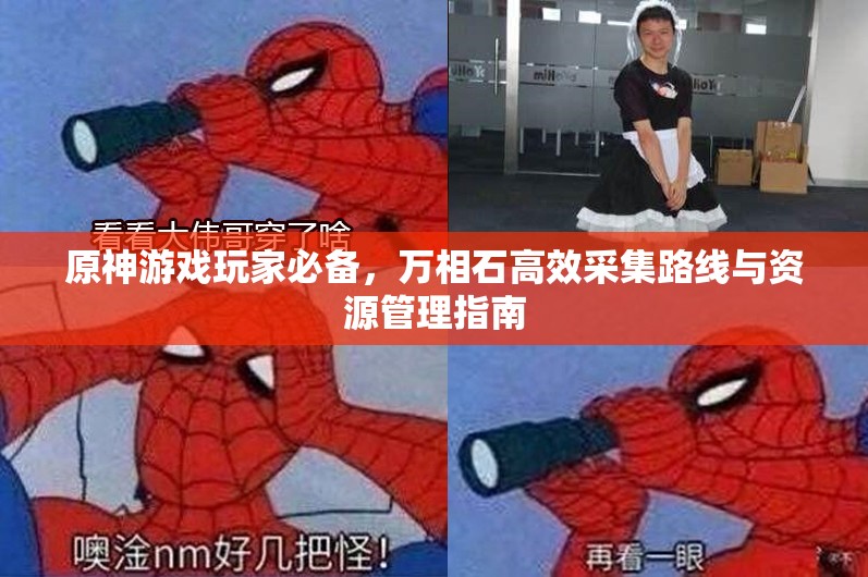 原神游戏玩家必备，万相石高效采集路线与资源管理指南