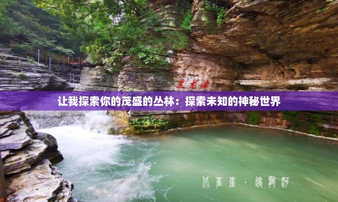 让我探索你的茂盛的丛林：探索未知的神秘世界