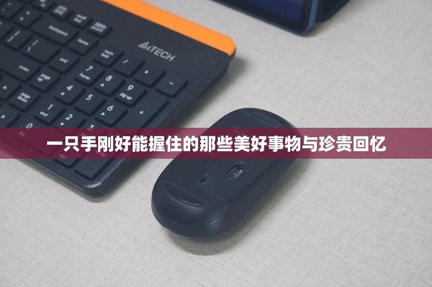 一只手刚好能握住的那些美好事物与珍贵回忆