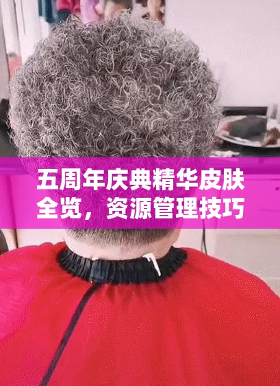 五周年庆典精华皮肤全览，资源管理技巧与高效利用策略实现价值最大化