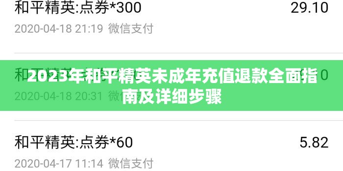 2023年和平精英未成年充值退款全面指南及详细步骤