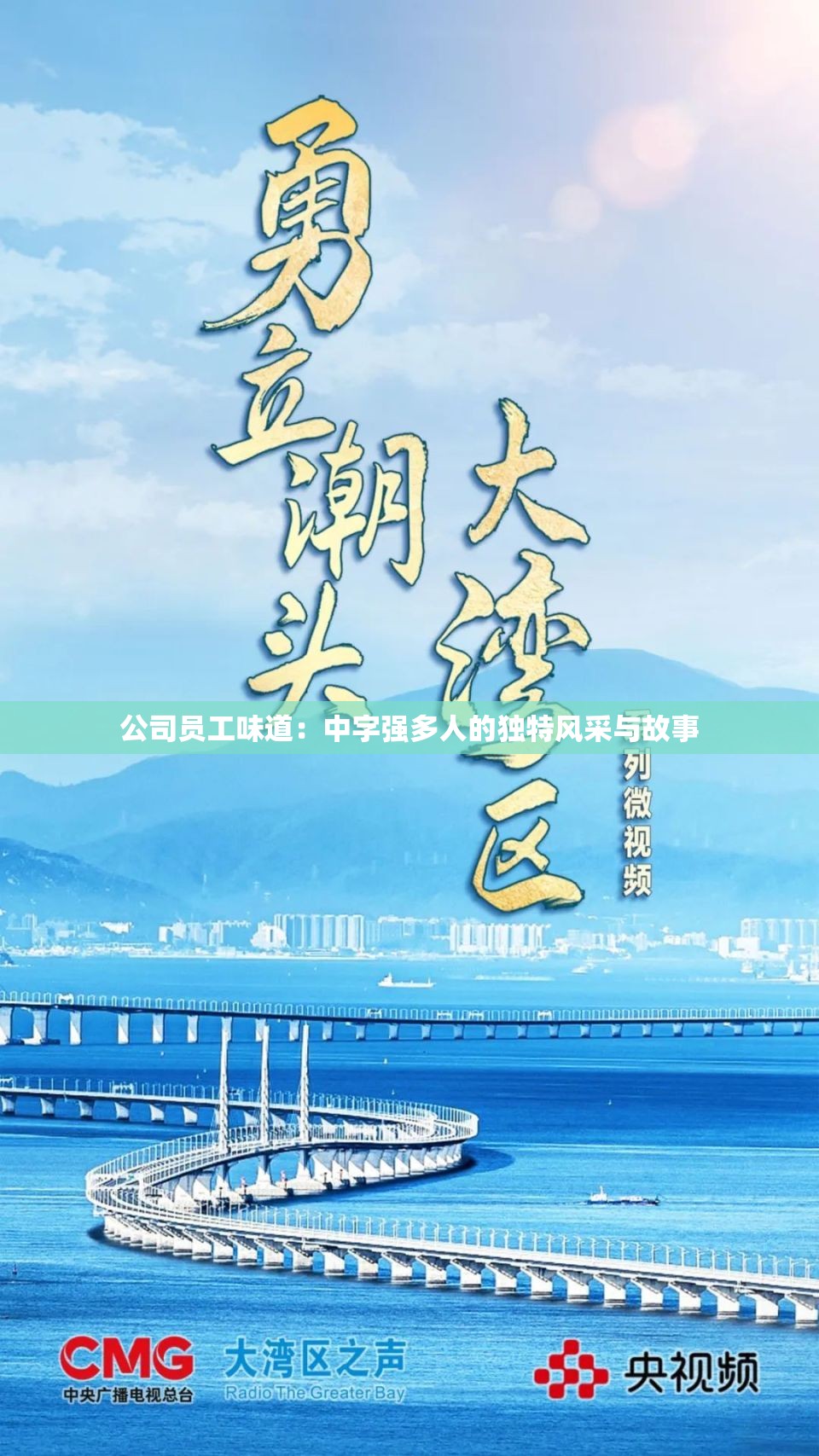 公司员工味道：中字强多人的独特风采与故事