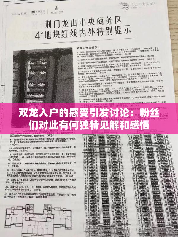 双龙入户的感受引发讨论：粉丝们对此有何独特见解和感悟