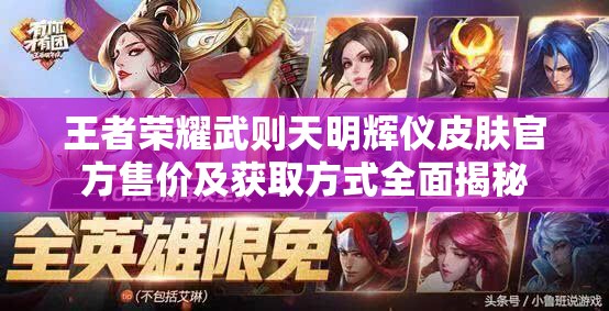 王者荣耀武则天明辉仪皮肤官方售价及获取方式全面揭秘