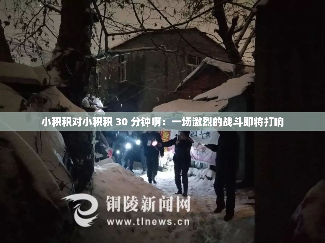 小积积对小积积 30 分钟啊：一场激烈的战斗即将打响