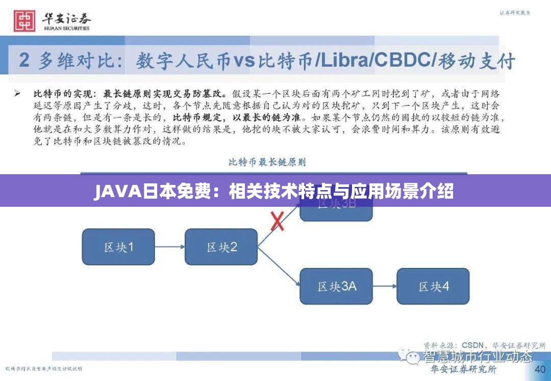 JAVA日本免费：相关技术特点与应用场景介绍