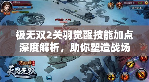 极无双2关羽觉醒技能加点深度解析，助你塑造战场无敌的不败战神形象