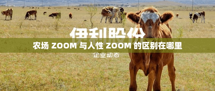 农场 ZOOM 与人性 ZOOM 的区别在哪里