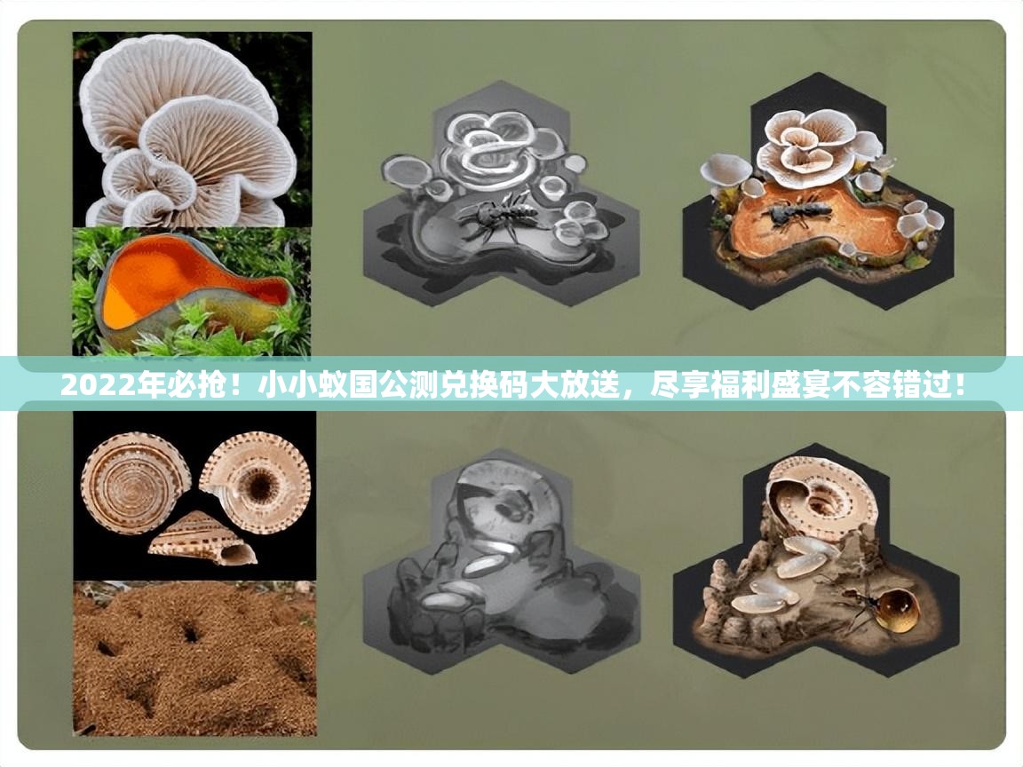 2022年必抢！小小蚁国公测兑换码大放送，尽享福利盛宴不容错过！