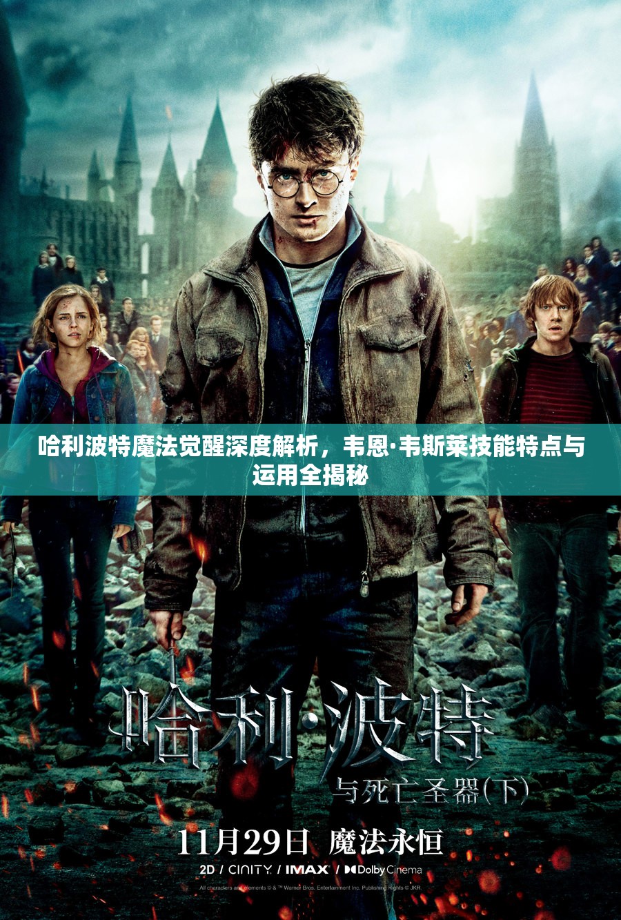 哈利波特魔法觉醒深度解析，韦恩·韦斯莱技能特点与运用全揭秘
