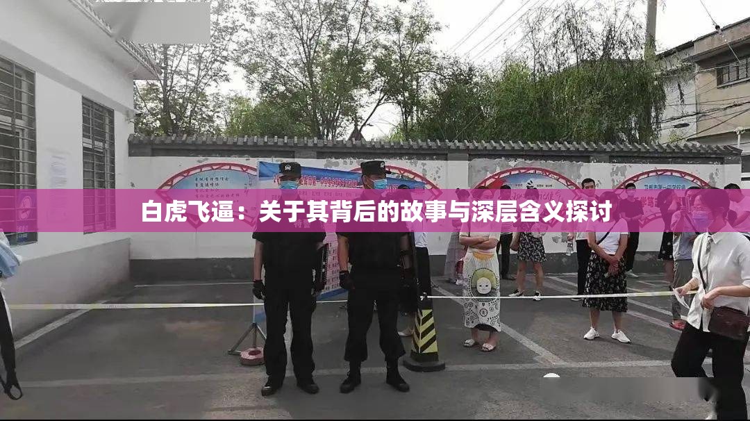 白虎飞逼：关于其背后的故事与深层含义探讨