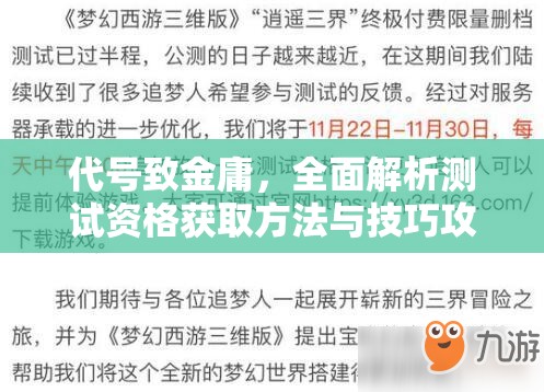 代号致金庸，全面解析测试资格获取方法与技巧攻略