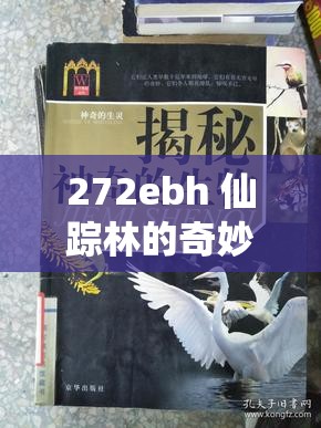 272ebh 仙踪林的奇妙之旅等你来探索