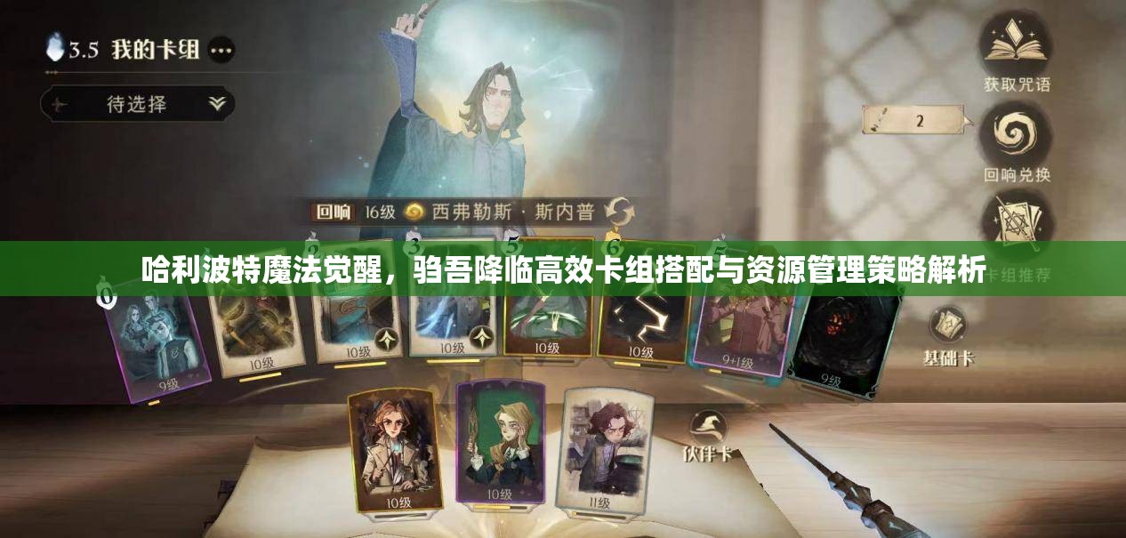 哈利波特魔法觉醒，驺吾降临高效卡组搭配与资源管理策略解析