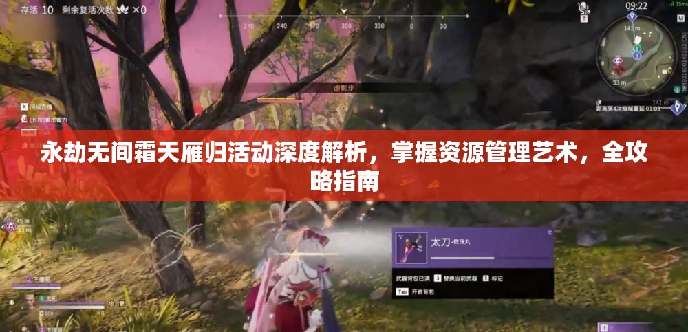 永劫无间霜天雁归活动深度解析，掌握资源管理艺术，全攻略指南