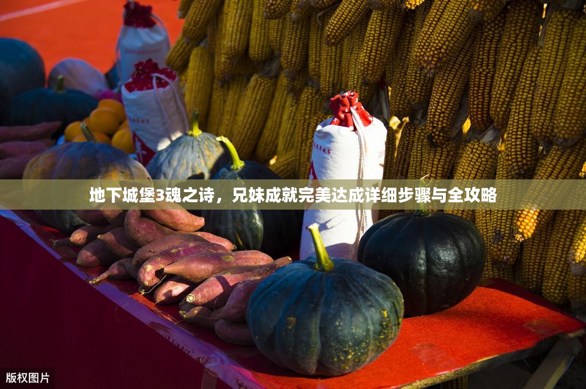 地下城堡3魂之诗，兄妹成就完美达成详细步骤与全攻略