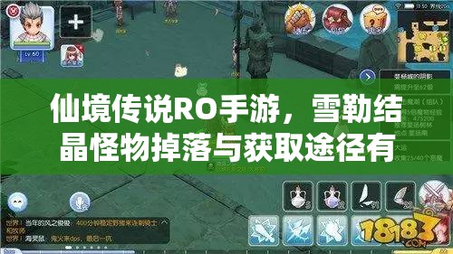 仙境传说RO手游，雪勒结晶怪物掉落与获取途径有何神秘演变？