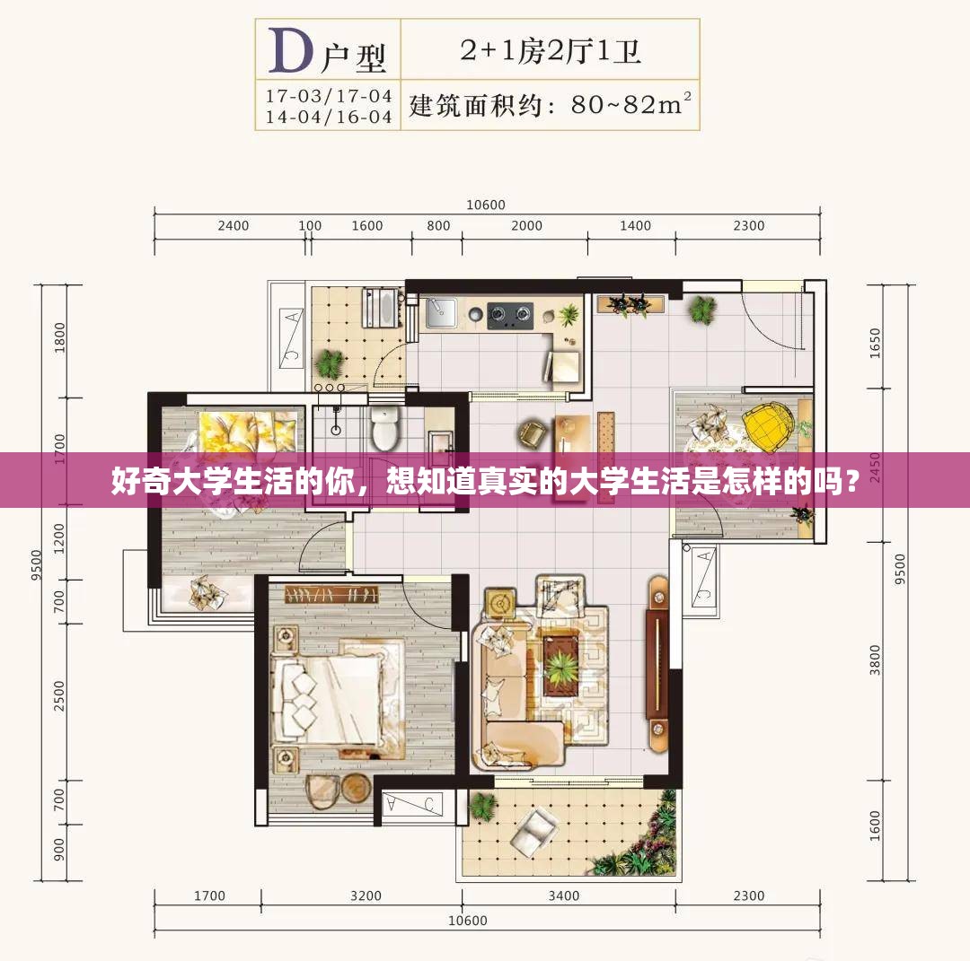 好奇大学生活的你，想知道真实的大学生活是怎样的吗？