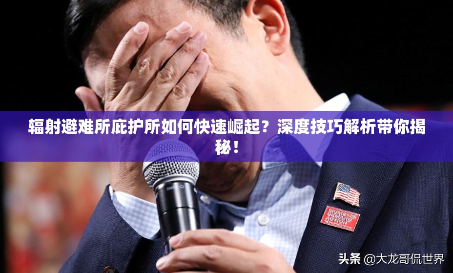 辐射避难所庇护所如何快速崛起？深度技巧解析带你揭秘！