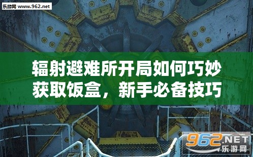 辐射避难所开局如何巧妙获取饭盒，新手必备技巧你知道吗？
