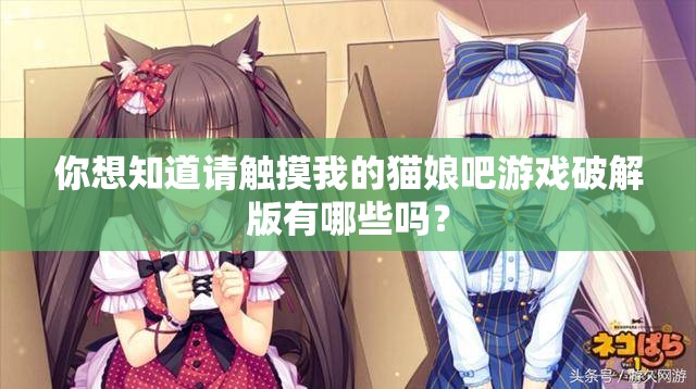 你想知道请触摸我的猫娘吧游戏破解版有哪些吗？