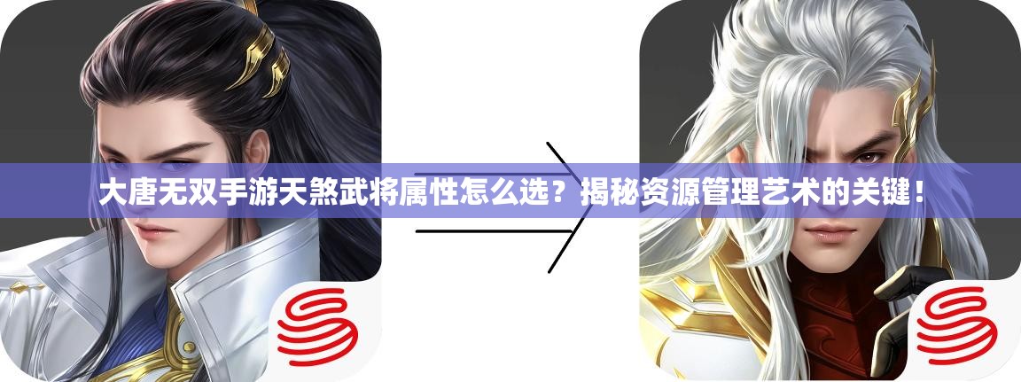大唐无双手游天煞武将属性怎么选？揭秘资源管理艺术的关键！