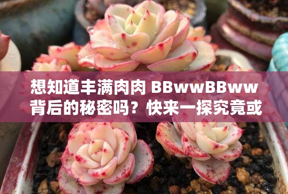 想知道丰满肉肉 BBwwBBww 背后的秘密吗？快来一探究竟或者：丰满肉肉 BBwwBBww 究竟有何特殊魅力？让我们一同揭晓或者：好奇丰满肉肉 BBwwBBww 代表着什么？点进来寻找答案