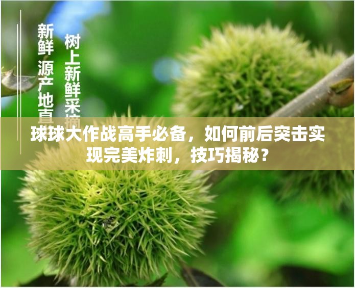 球球大作战高手必备，如何前后突击实现完美炸刺，技巧揭秘？