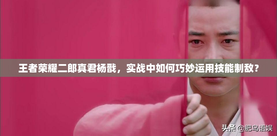 王者荣耀二郎真君杨戬，实战中如何巧妙运用技能制敌？