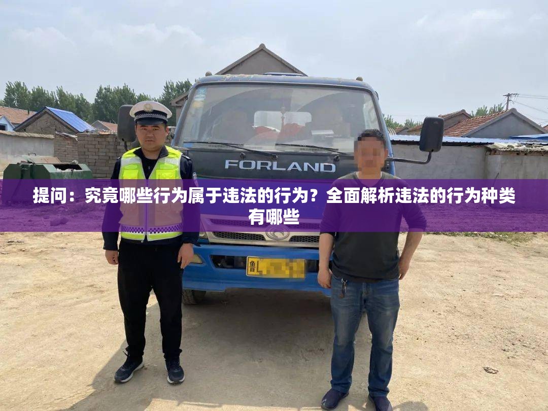 提问：究竟哪些行为属于违法的行为？全面解析违法的行为种类有哪些