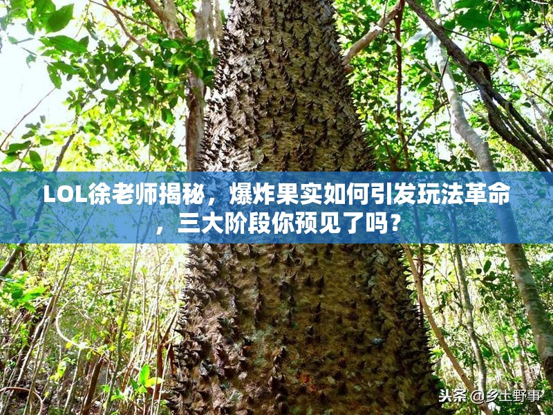 LOL徐老师揭秘，爆炸果实如何引发玩法革命，三大阶段你预见了吗？